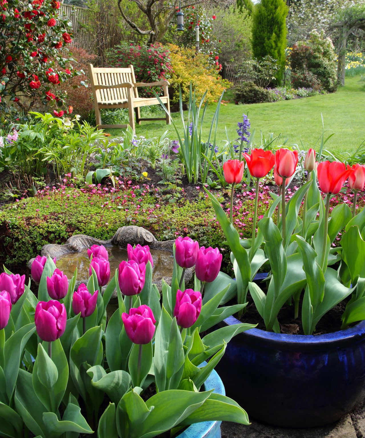 Top gardening tips for spring weather changes will help your plants to ...