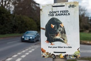 A photo of a flyer with a picture of a rat that reads "Don't feed the animals: put your litter in a bin"