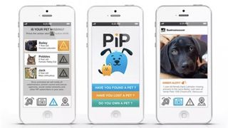 PiP petfinder app