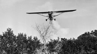 A plane flies over a wooded area spraying DDT to kill of mosquitoes carrying malaria.
