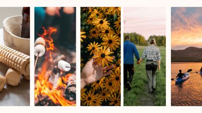 Embracing nature collage