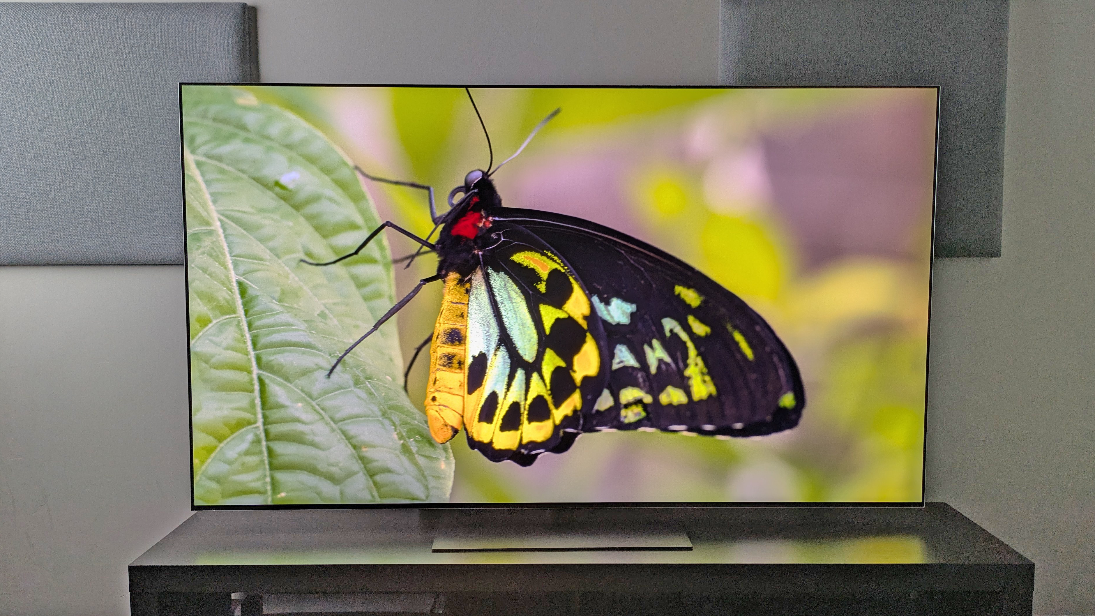 The LG G6 OLED TV showing an image of a butterfly, revealing rich green and yellow hues and deep black tones in its wings