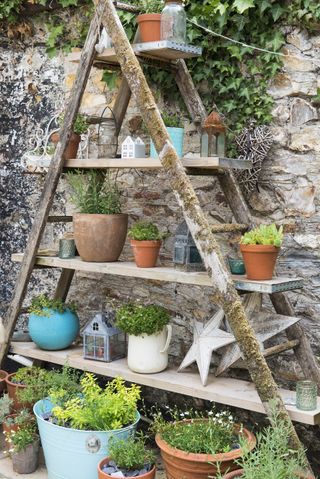 ideas for awkward shaped gardens: Wooden ladder planter arranged with pots
