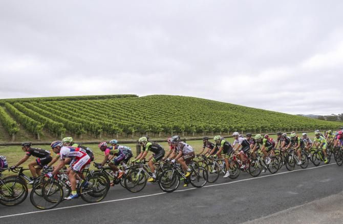 The race passed through wine regions again today