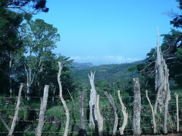 A view during stage 2