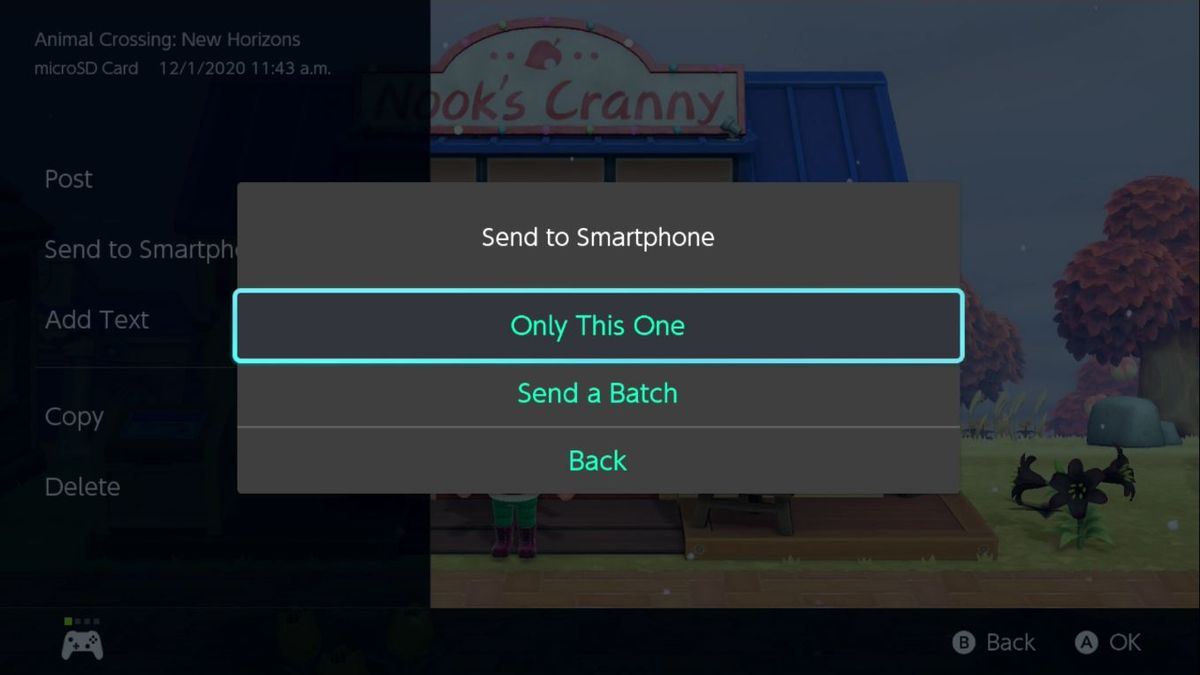 send screenshots from switch to phone