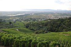Decanter experience Northern Rhone
