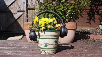 Onkyo H500BT review