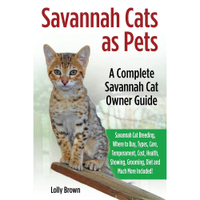 Savannah Cats As Pets | Amazon