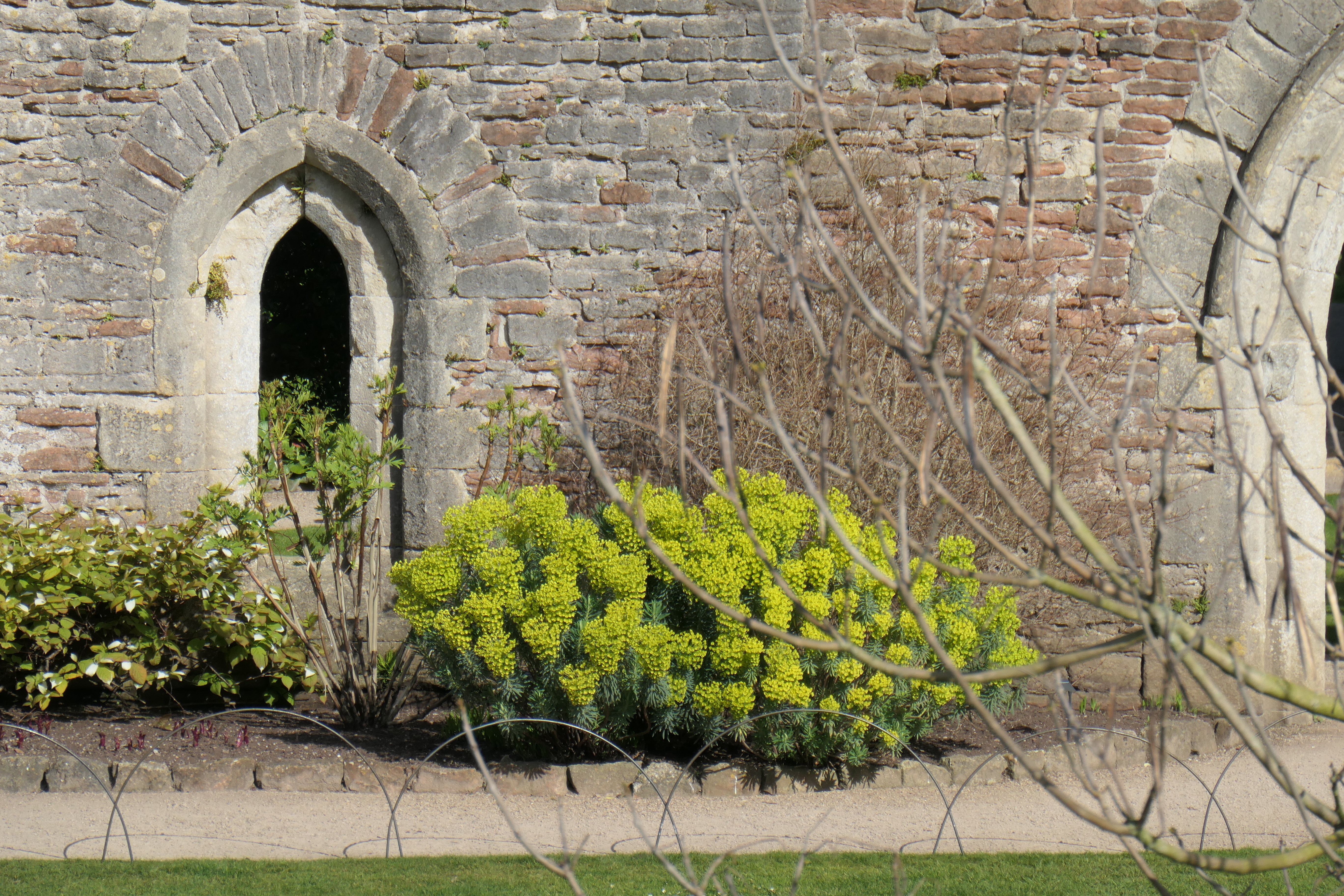 Panasonic Lumix ZS300 / TZ300 sample image