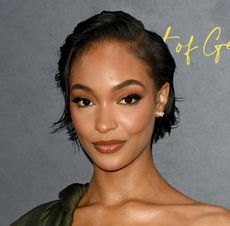 bixie - jourdan dunn