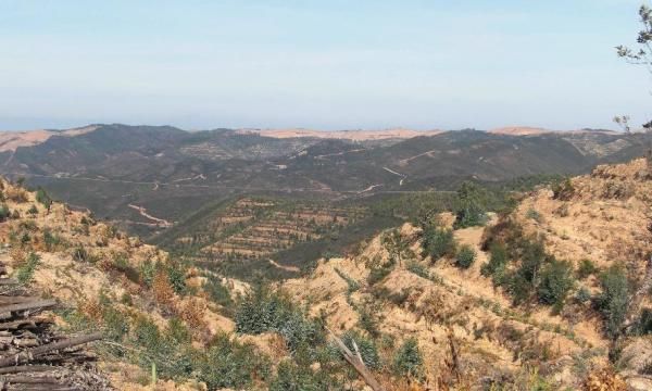 The landscape in Portugal reminds Helen of Sim City's 'set terrain' function.