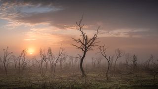 Landscape Photographer of the Year