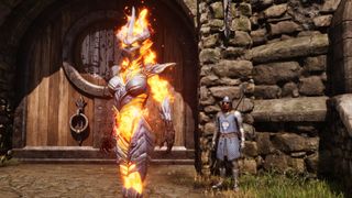 A Chorrol guard admires a Flame Atronach.