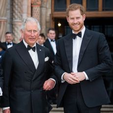 london, england april 04 prince charles, prince of wales and prince harry, duke of sussex attend the our planet global premiere at natural history museum on april 04, 2019 in london, england photo by samir husseinsamir husseinwireimage