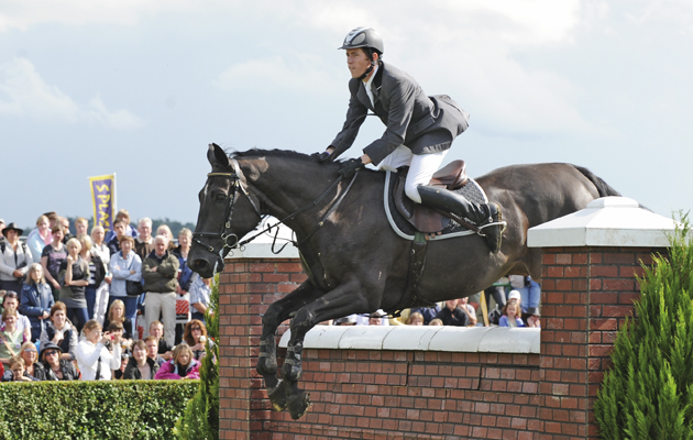 6 Scott Brash Intertoy Z