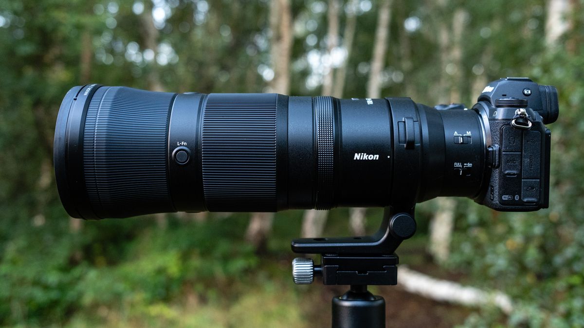 Nikkor Z 180-600mm f/5.6-6.3 VR review | TechRadar