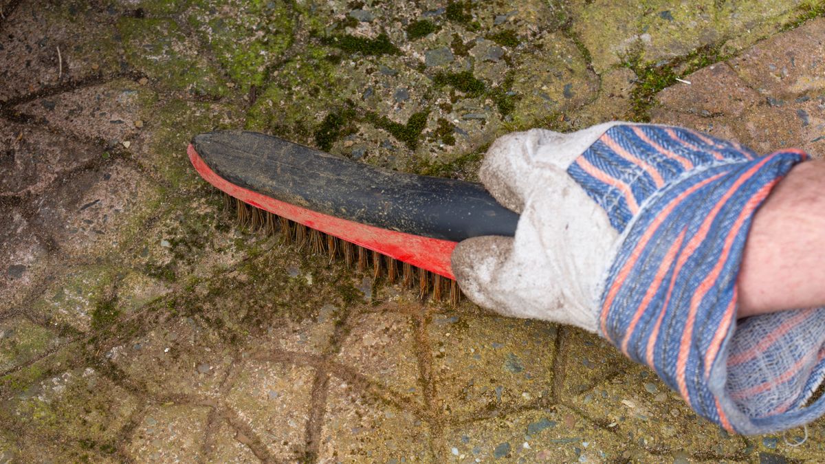 How to clean your patio without a pressure washer Tom's Guide