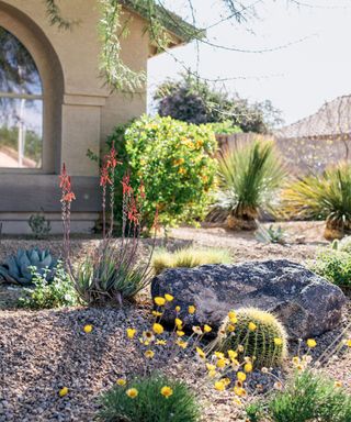 drought tolerant front yard with rocks
