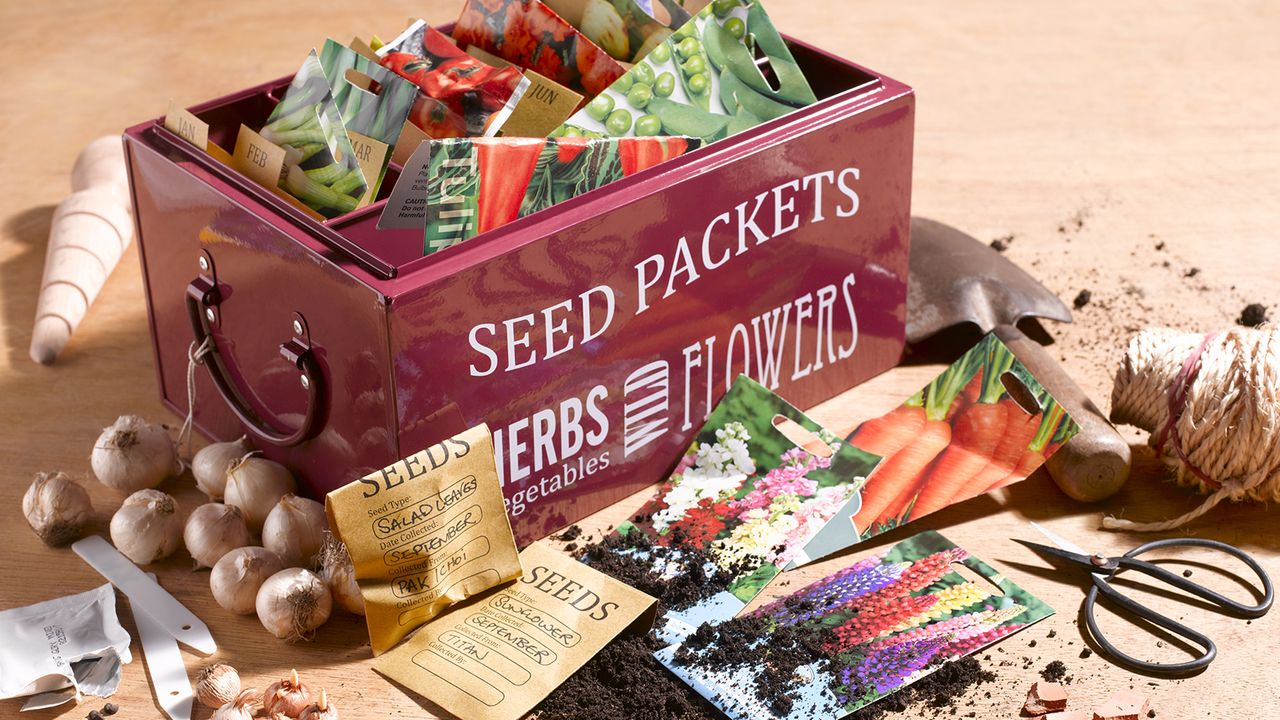 Seed storage box and seed packets