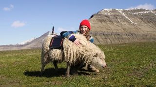 Solar-powered sheep are the best way to reach remote areas.