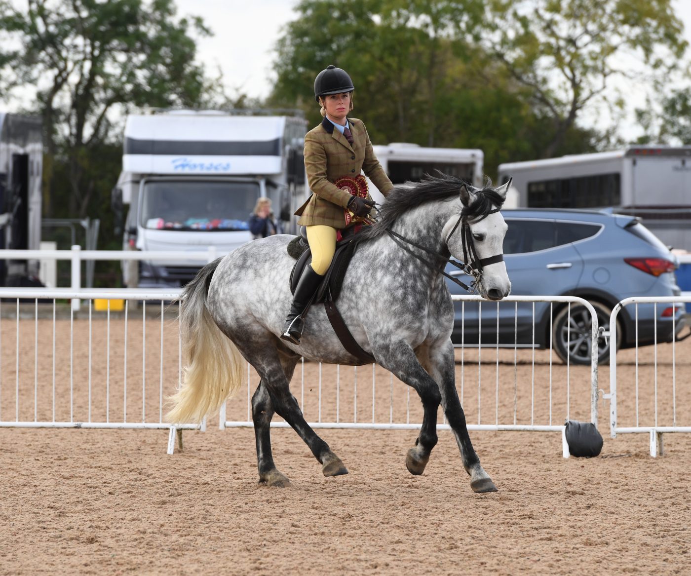 Heritage-Show-11.10.1925621_351834322_587470782-e1571237840123.jpg
