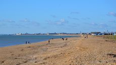 hayling beach horse riding ban concerns