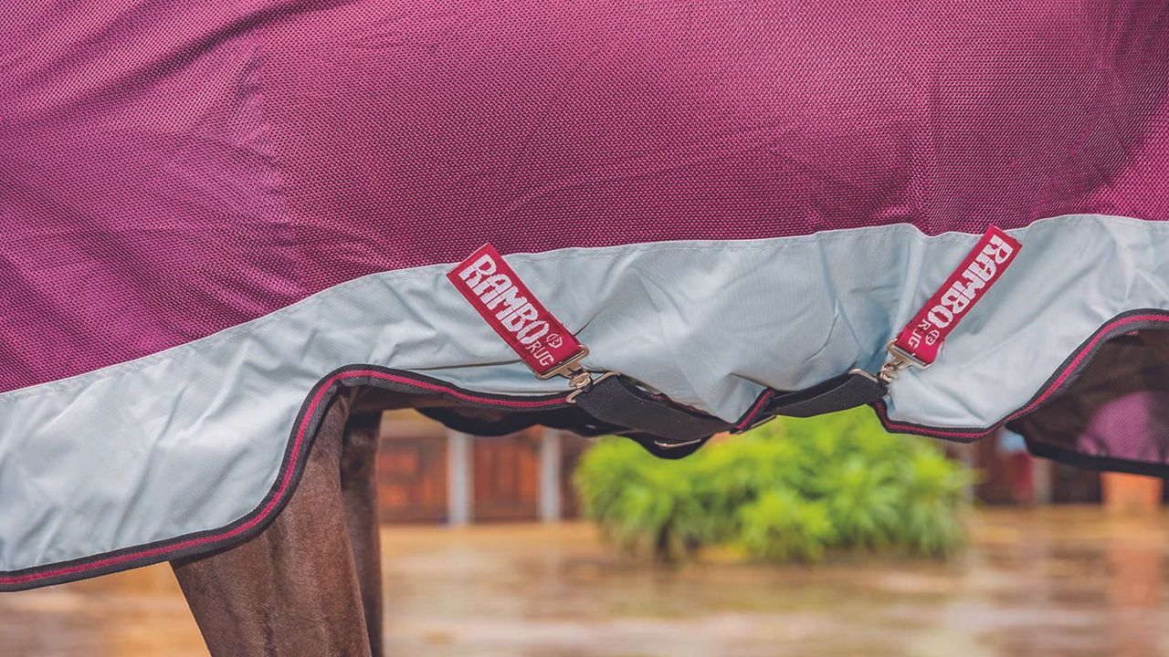 Horseware Rambo Summer Series&nbsp;review