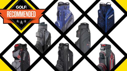 Best Golf Cart Bags