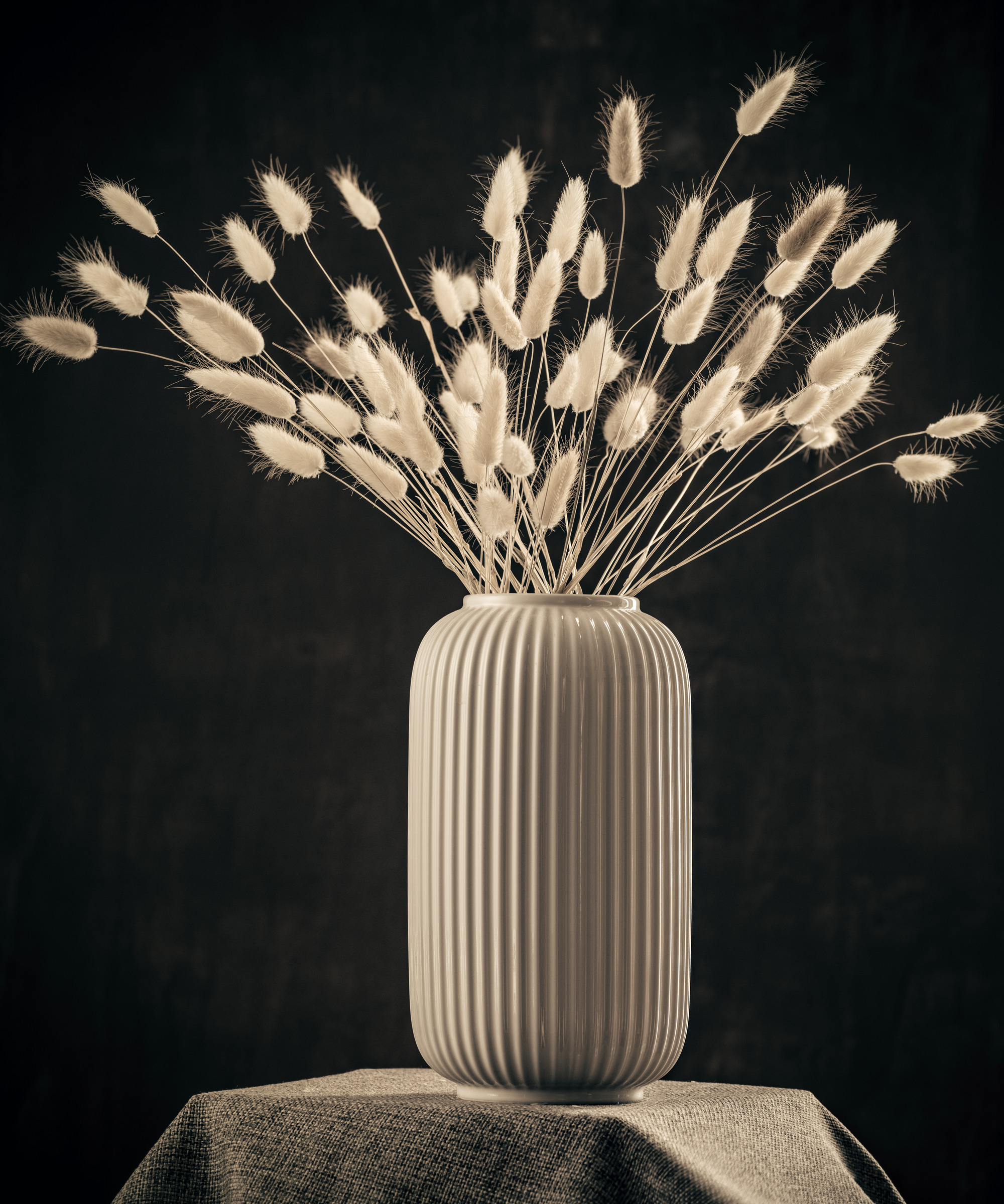 dried bunny tail grass in a cream vase