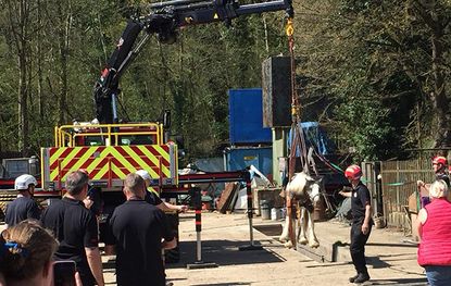 pony-recsued-pit.jpg