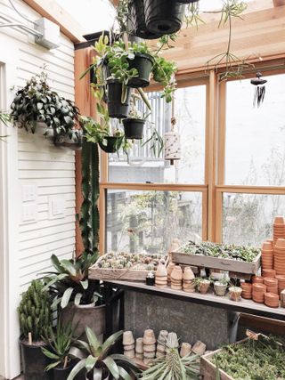 Vertical garden in your greenhouse