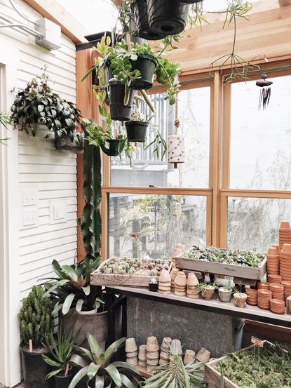 21 Vertical Garden Ideas Using Planters, Trellis And More 