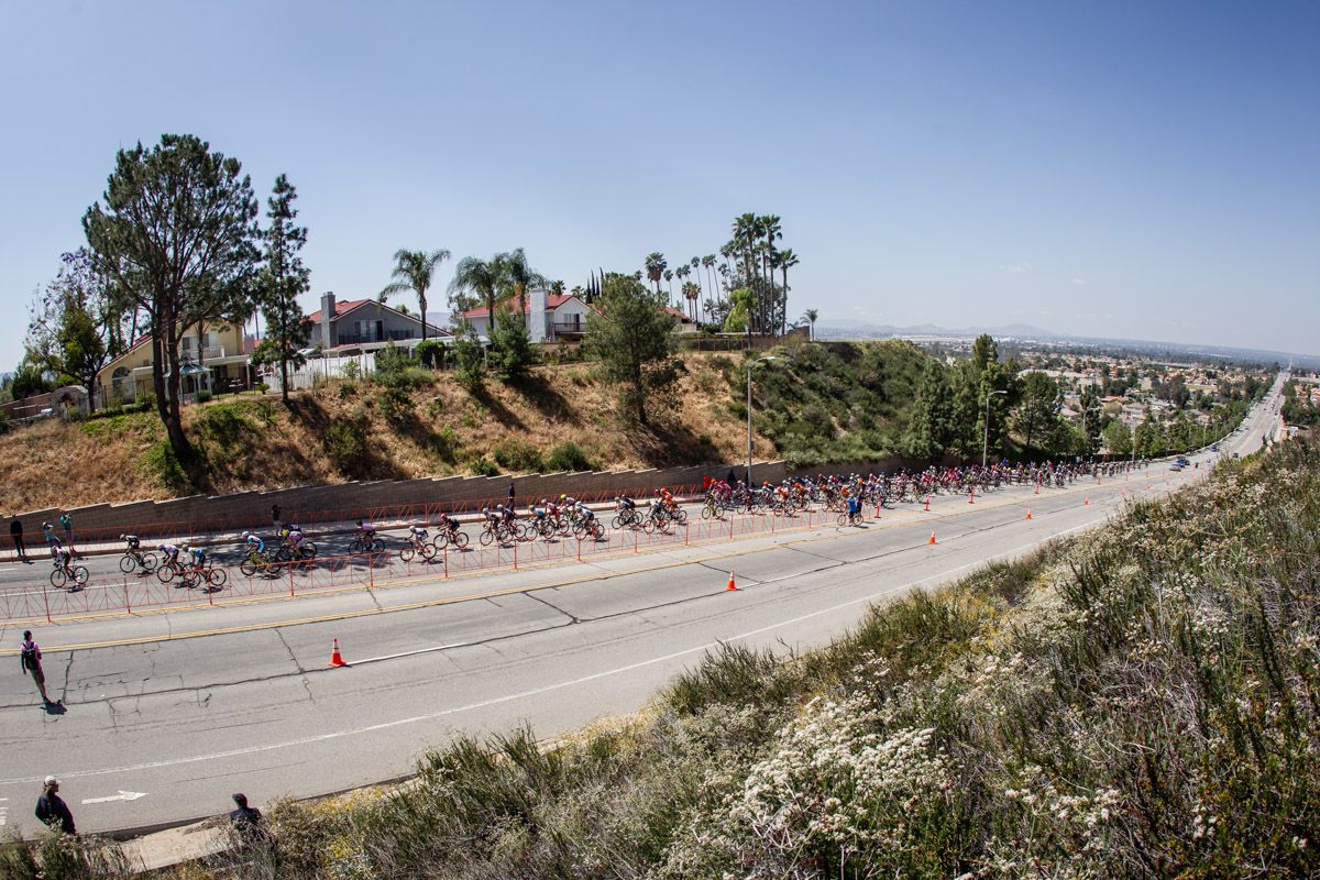 The mens peloton strung out on the climb.