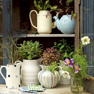 shelves with potted plants jug and envelopea
