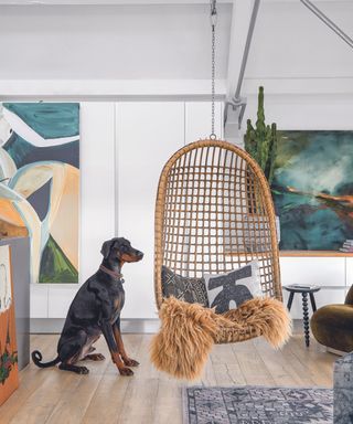 Living room with rattan swinging chair and dog