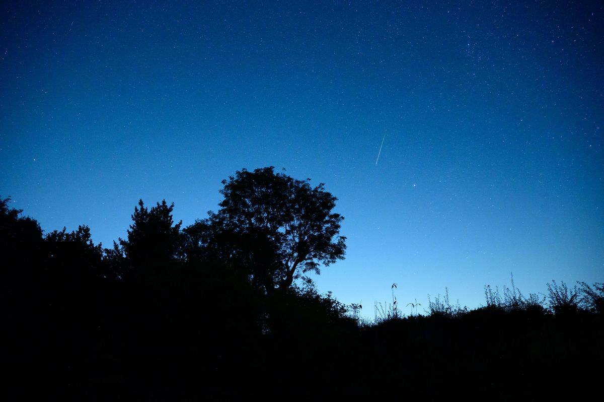 Meteor flashes across the night sky during the Perseid Meteor Shower 2026