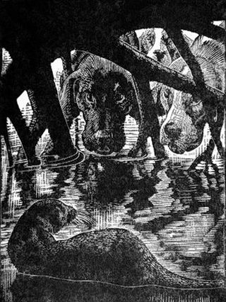 This wood engraving was used to illustrate Henry Williamson's influential novel Tarka the Otter