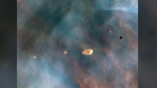 ‘Primordial clouds’ of dust and gas that form planets, in the Orion Nebula.