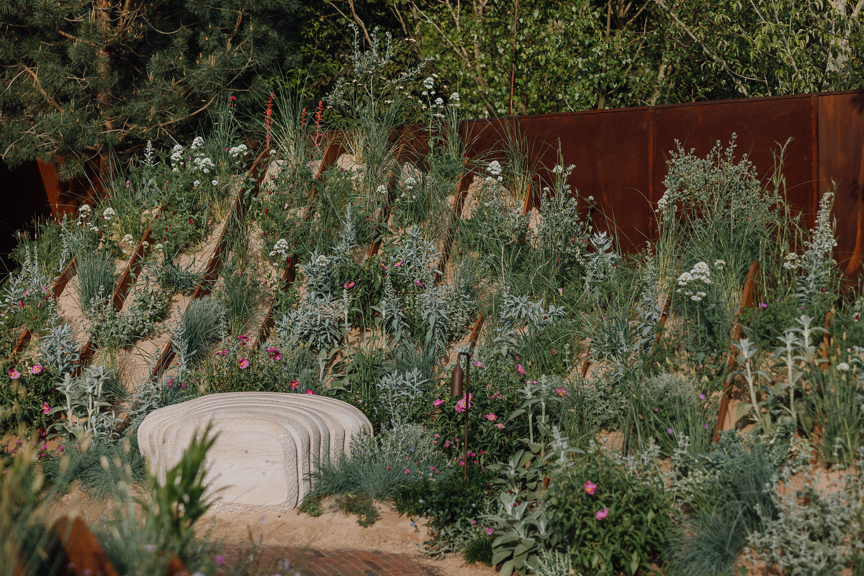 Chelsea Flower Show 2025