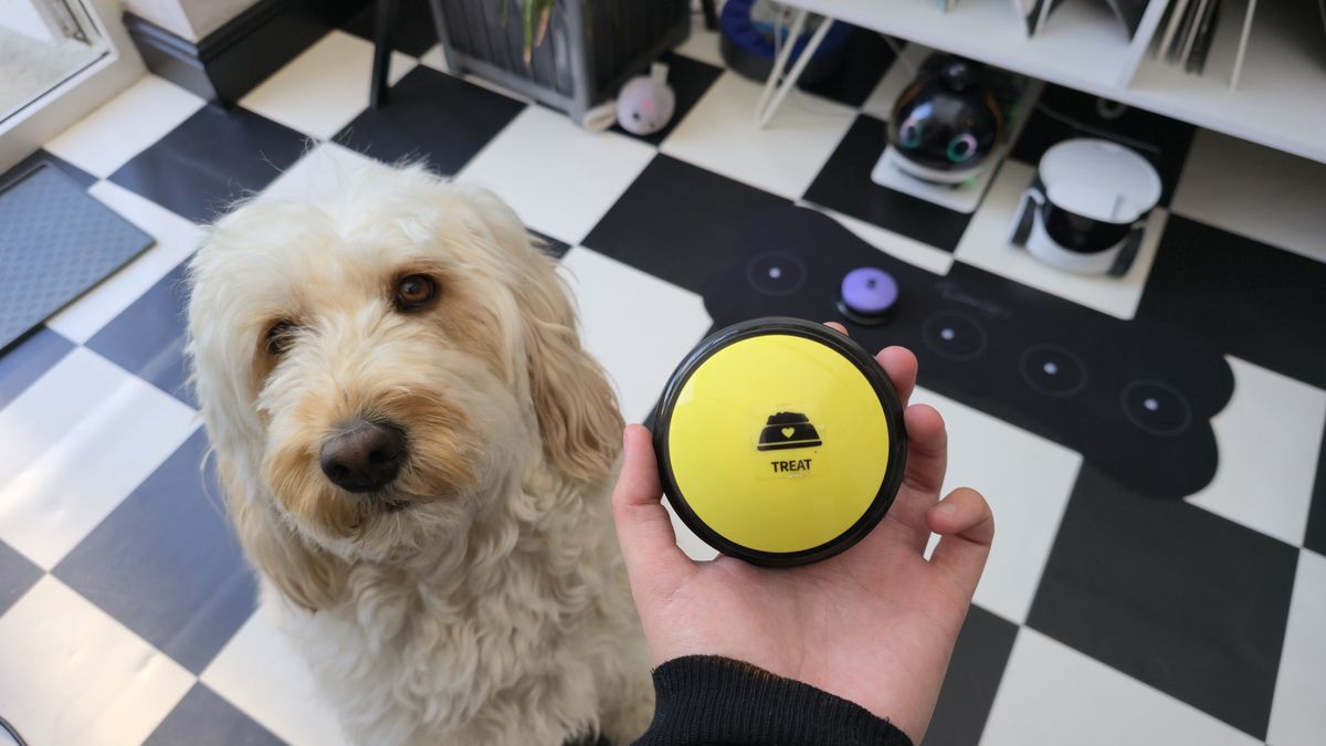 Beth's hand holding a yellow pet button, with her dog Tilly standing beneath her