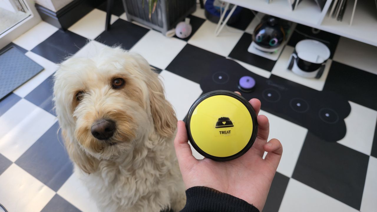 Beth's hand holding a yellow pet button, with her dog Tilly standing beneath her