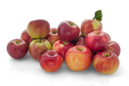 Pile Of Idared Apples