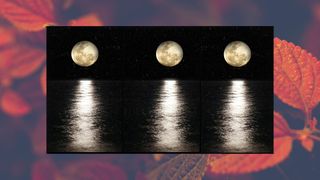 full moon over the ocean on a background of fall leaves