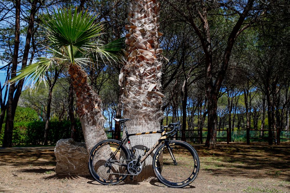 Vincenzo Nibali's custom Merida Scultura for the 2017 Giro d'Italia