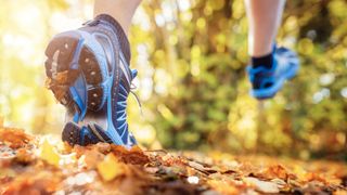 trail running in fall