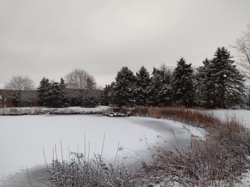 Moto G Power 2021 Camera Sample