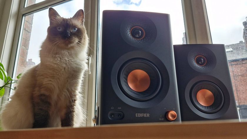 The Edifier MR5 monitor speaker on a table next to a cat.
