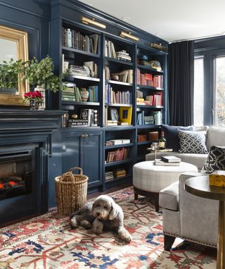 color coordinated books in blue living room