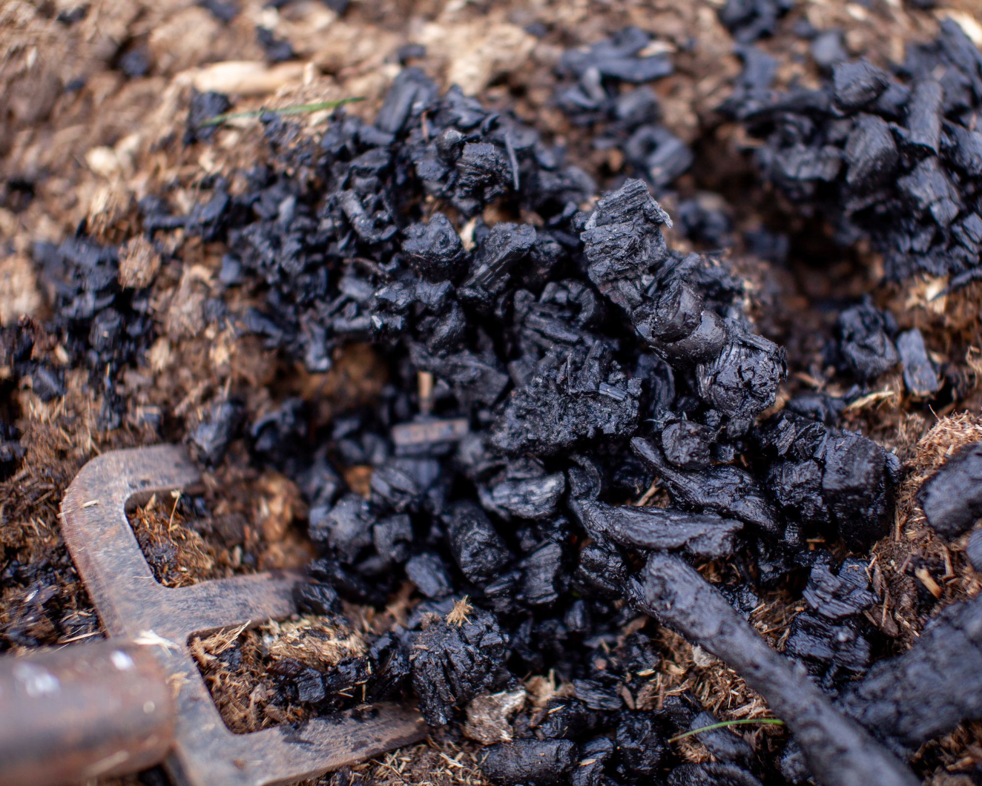 pitchfork mixing biochar and soil